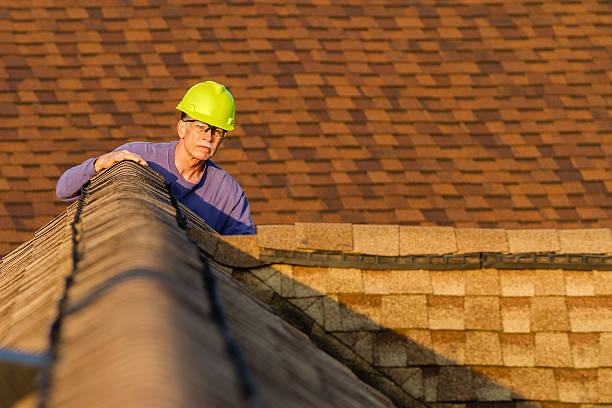 Best Roof Gutter Cleaning  in Pleasant Hill, MS